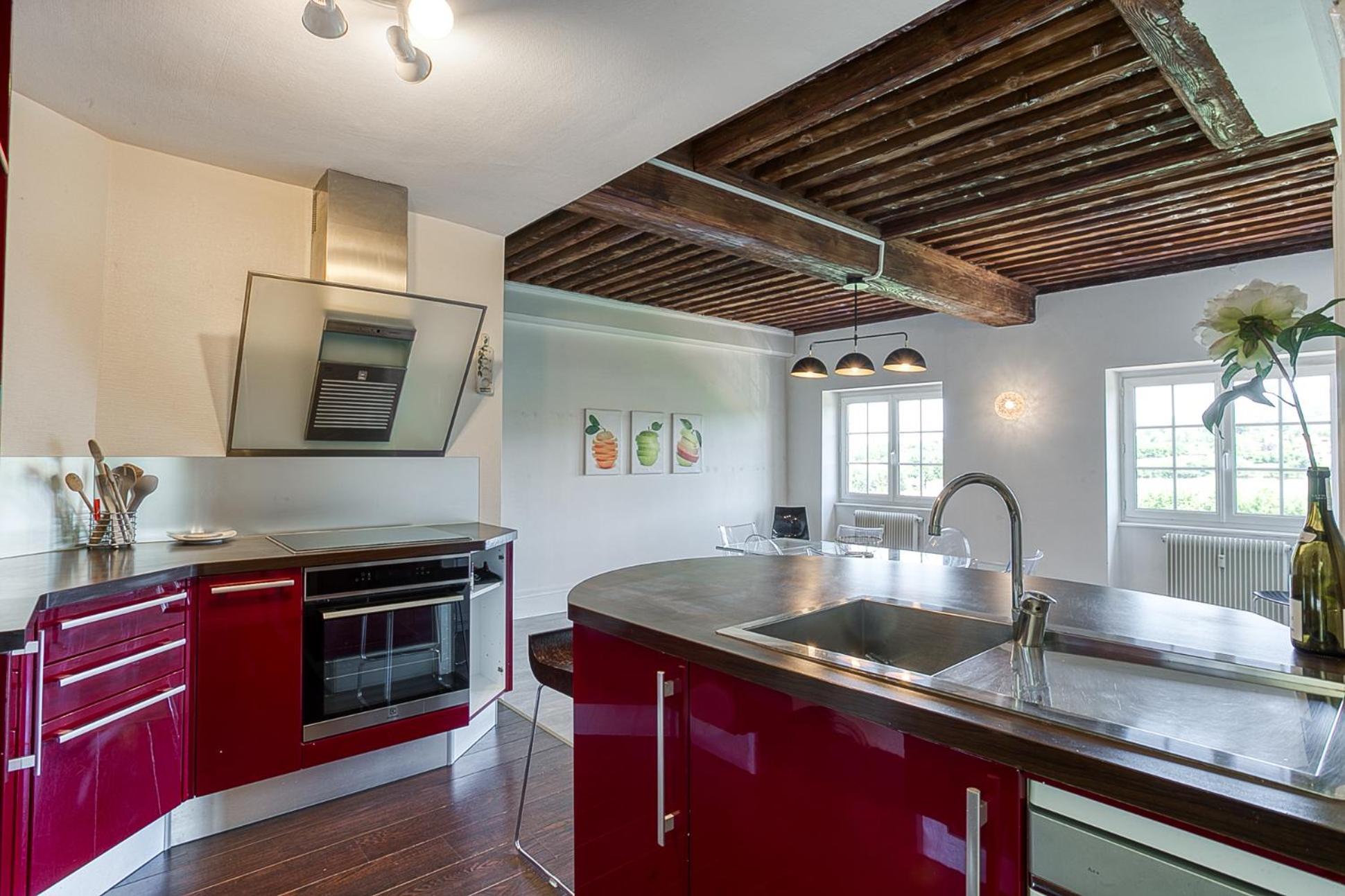 Sejourner Au Chateau De La Roue Grand Appartement Lissieu Εξωτερικό φωτογραφία