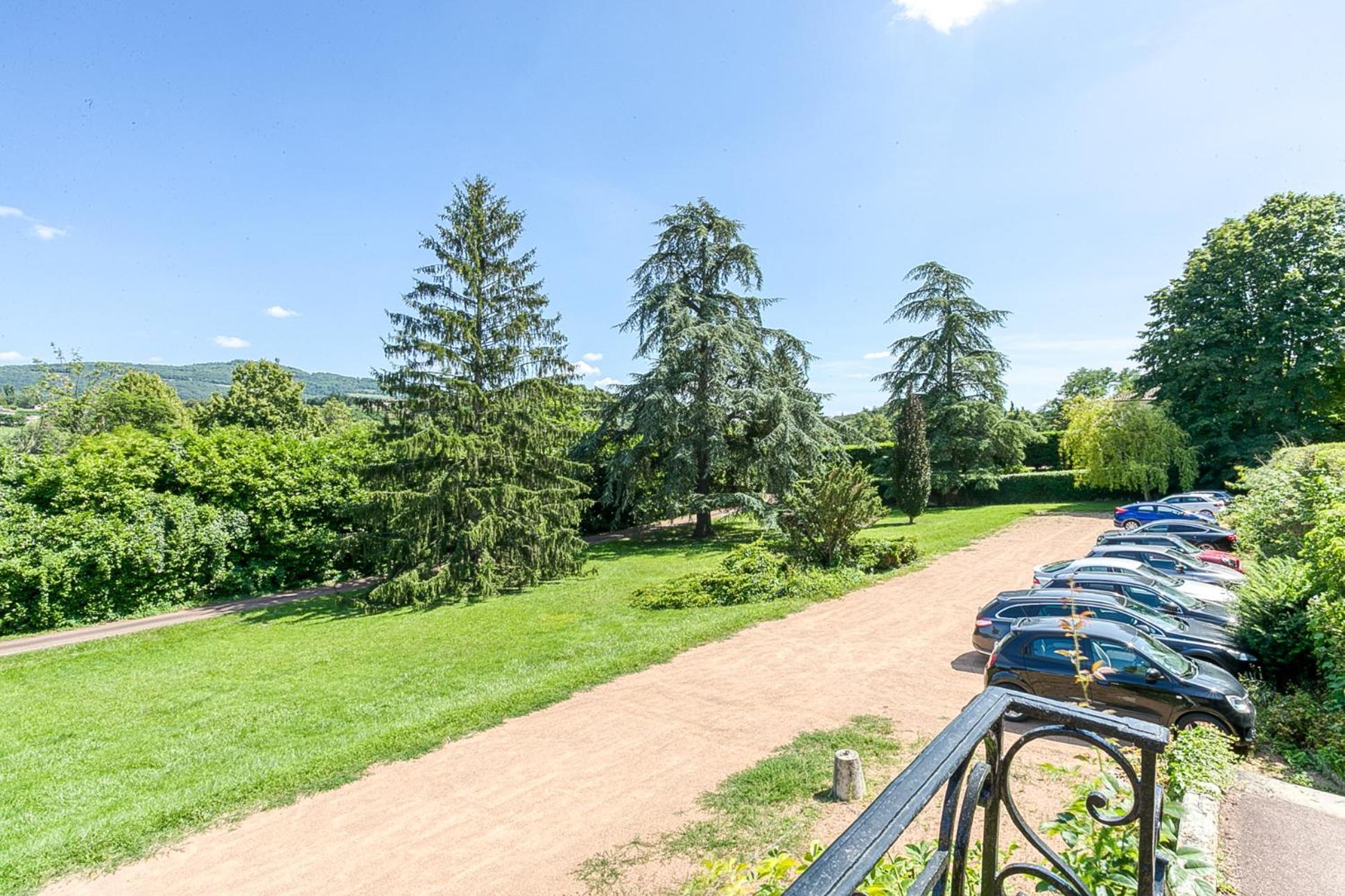 Sejourner Au Chateau De La Roue Grand Appartement Lissieu Εξωτερικό φωτογραφία