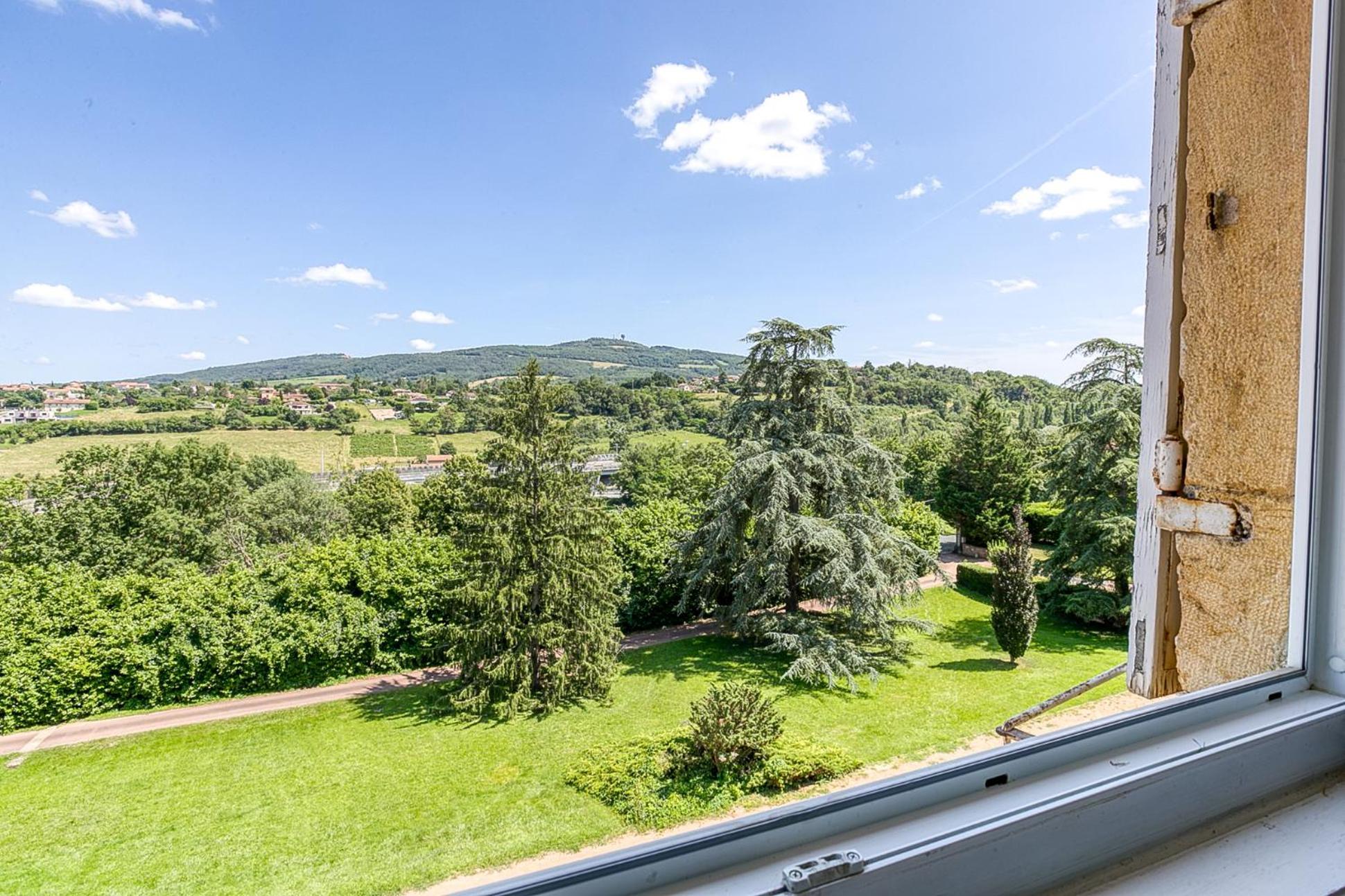 Sejourner Au Chateau De La Roue Grand Appartement Lissieu Εξωτερικό φωτογραφία