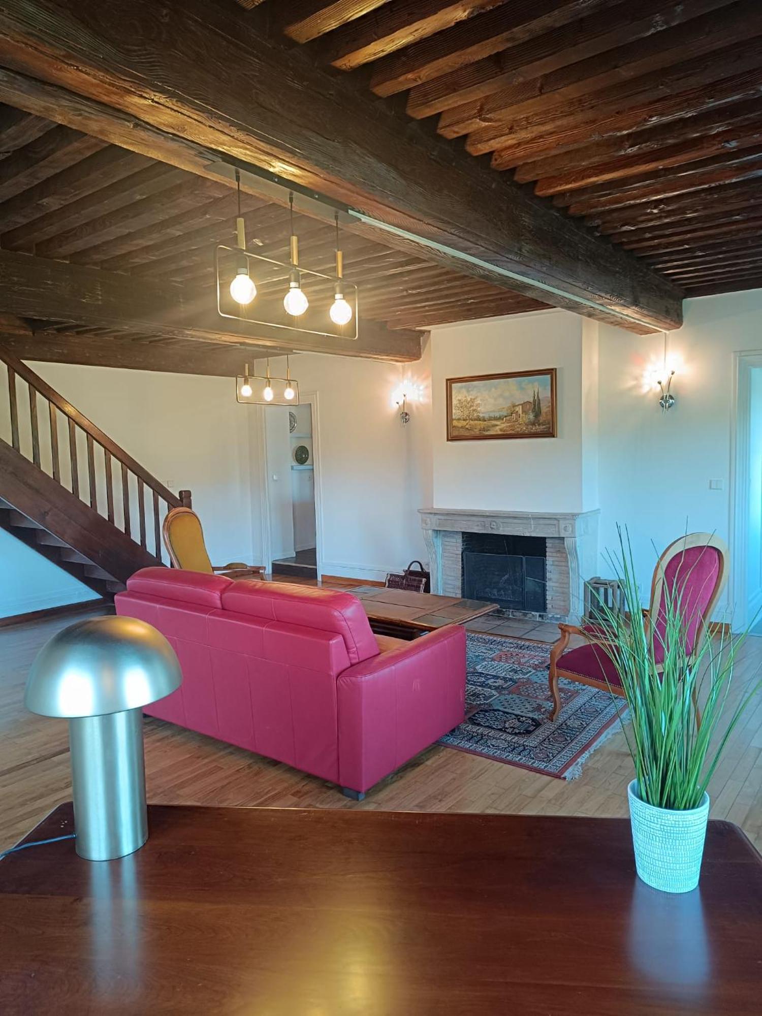 Sejourner Au Chateau De La Roue Grand Appartement Lissieu Εξωτερικό φωτογραφία