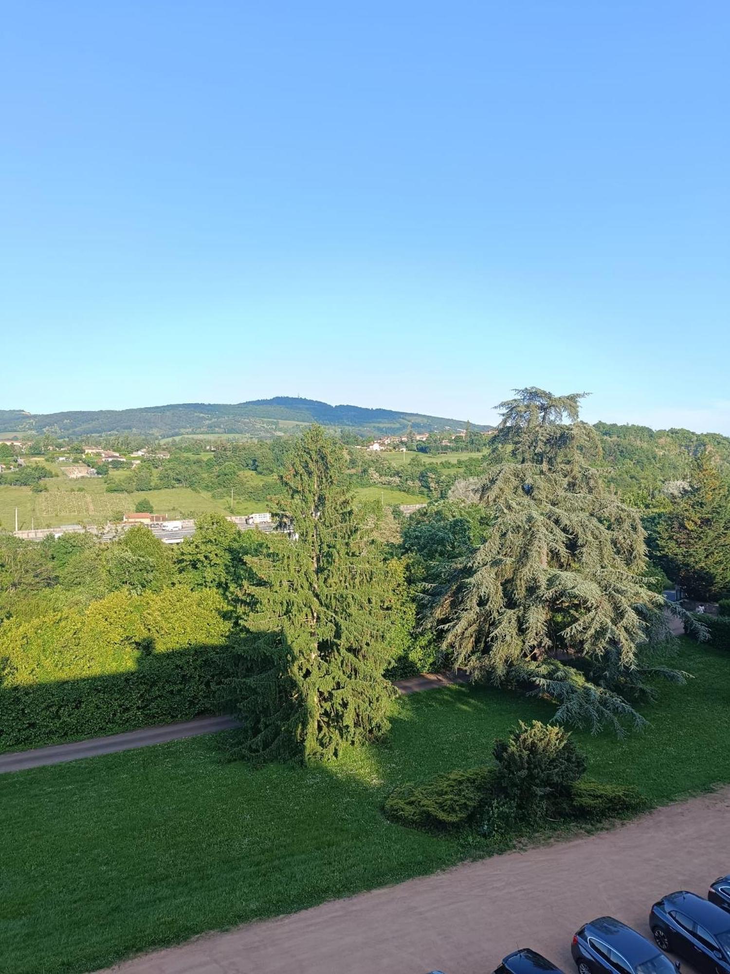 Sejourner Au Chateau De La Roue Grand Appartement Lissieu Εξωτερικό φωτογραφία