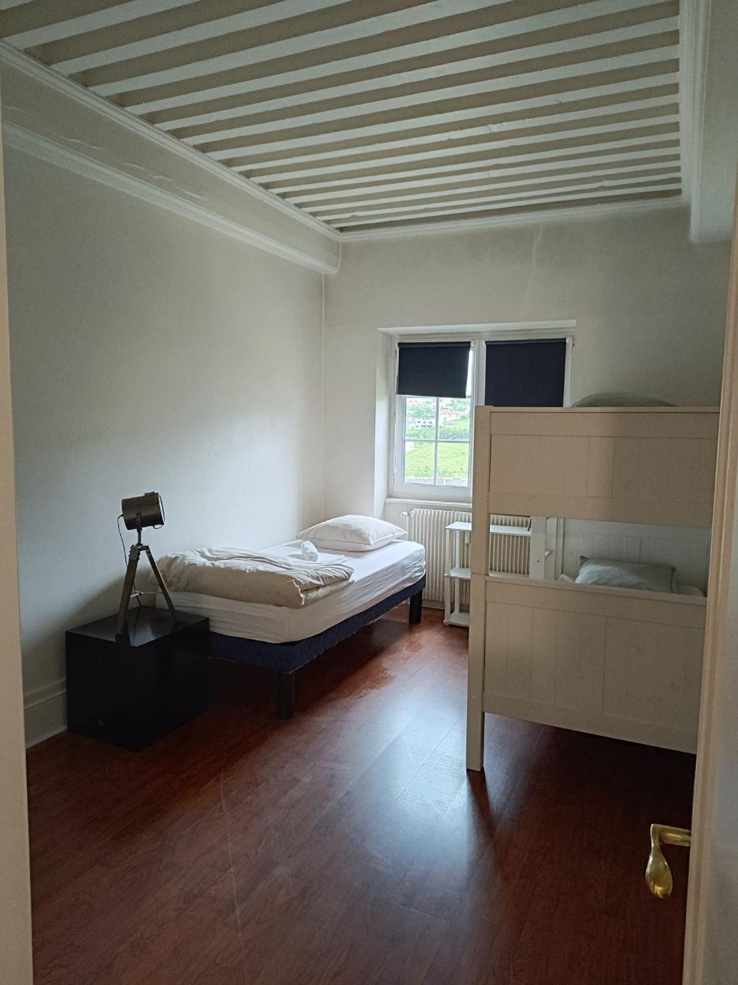 Sejourner Au Chateau De La Roue Grand Appartement Lissieu Εξωτερικό φωτογραφία